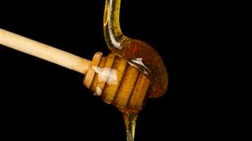 Wie gesund ist Honig wirklich: Mythos, Manuka und Wellness im Check